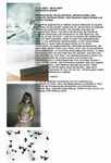 ジャナイナ・チェッペ： a brief introduction to 'Ordnung & Chaos' exhibition (2003)



