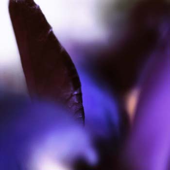 visible and invisible-photography-



