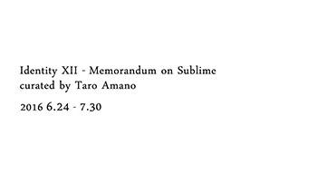 Identity XII - Memorandum on Sublime -curated by Taro Amano-