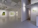 Pin-Ling Huang X Kazuya Sakamoto Two-Person Exhibition Natural Compositions