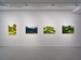Pin-Ling Huang X Kazuya Sakamoto Two-Person Exhibition Natural Compositions