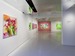 Kazuya Sakamoto :IN BLOOM