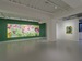 Kazuya Sakamoto :IN BLOOM