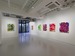 Kazuya Sakamoto :IN BLOOM