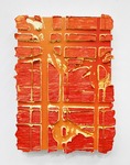 Shinya Imanishi:Seeing the Unseen