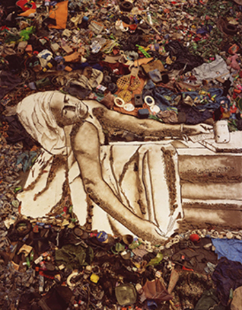 『ヴィック・ムニーズ /Waste Land (ごみアートの奇跡)』　上映 - 群馬県立館林美術館