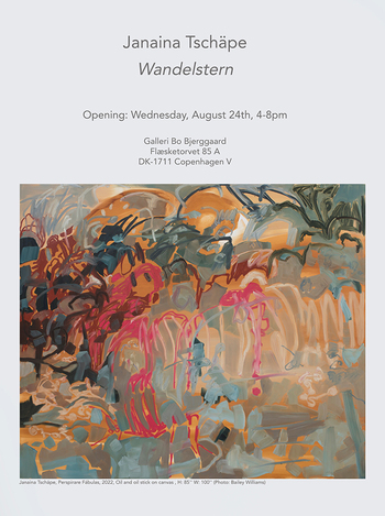 ジャナイナ・チェッペ： 個展「Wandelstern」GALLERI BO BJERGGAARD / デンマーク