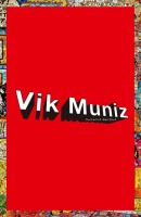 Vik Muniz - Gibi / コミック